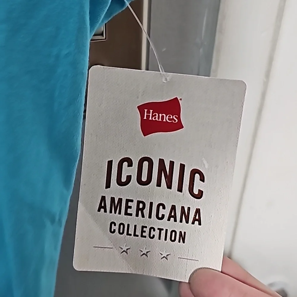 Nwot Hanes Hot Springs National Park Arkansas t-shirt - Picture 3 of 5